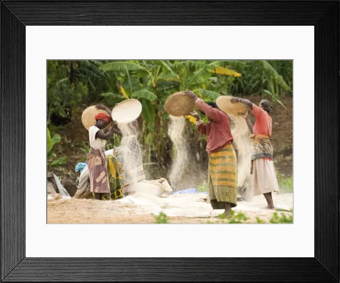 Framed Print : Picture No. 10871827 Framed Print : Picture No. 10871827