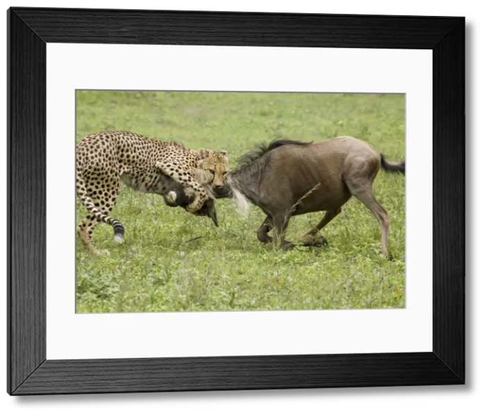 Framed Print : Picture No. 10871821 Framed Print : Picture No. 10871821