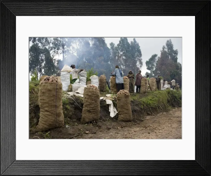 Framed Print : Picture No. 10871806 Framed Print : Picture No. 10871806