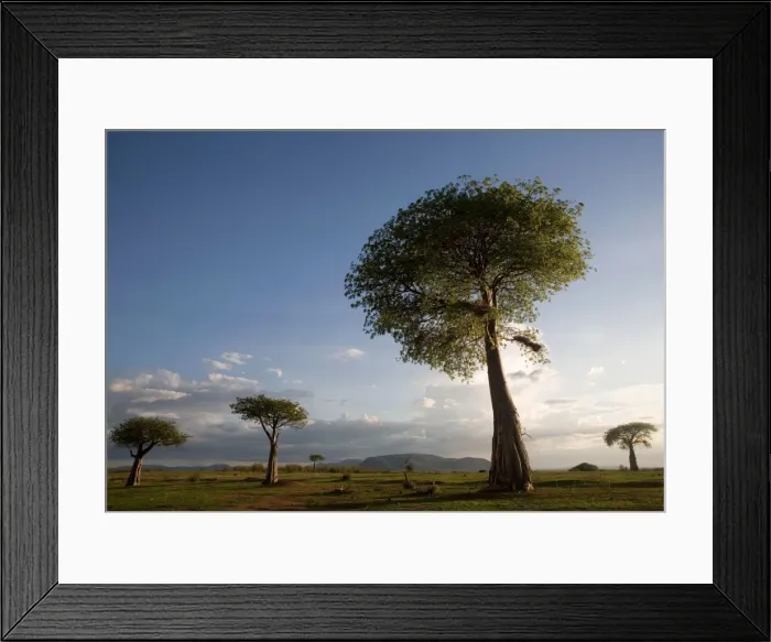 Framed Print : Picture No. 10872000 Framed Print : Picture No. 10872000