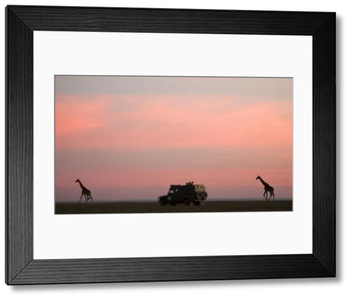 Framed Print : Picture No. 10872005 Framed Print : Picture No. 10872005