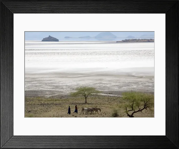 Framed Print : Picture No. 10872009 Framed Print : Picture No. 10872009