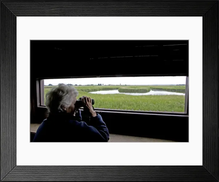 Framed Print : Picture No. 10872062