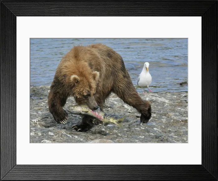 Framed Print : Picture No. 10872429 Framed Print : Picture No. 10872429