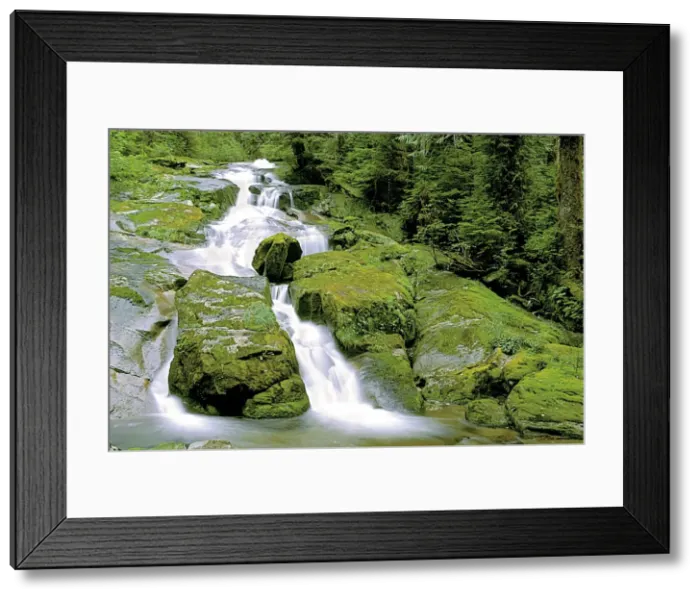 Framed Print : Picture No. 10872488 Framed Print : Picture No. 10872488