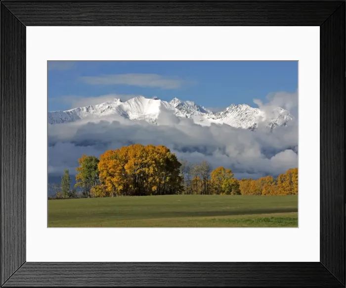 Framed Print : Picture No. 10872495 Framed Print : Picture No. 10872495