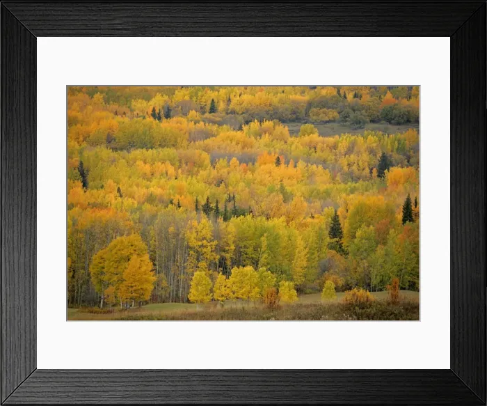 Framed Print : Picture No. 10872507 Framed Print : Picture No. 10872507