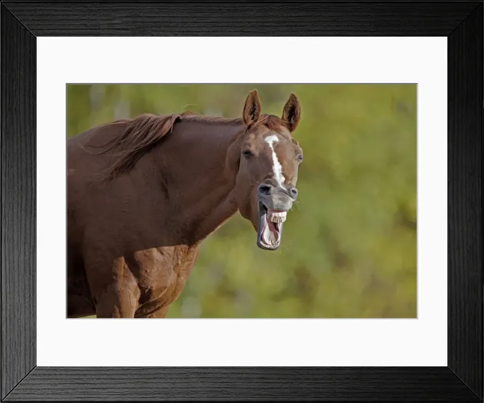 Framed Print : Picture No. 10872511 Framed Print : Picture No. 10872511