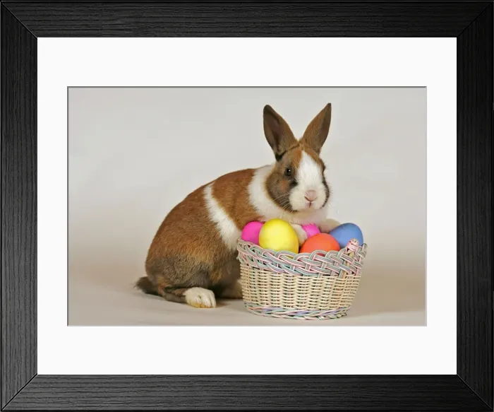 Framed Print : Picture No. 10872522 Framed Print : Picture No. 10872522