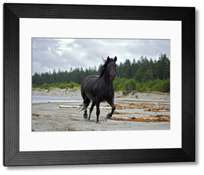 Framed Print : Picture No. 10872525 Framed Print : Picture No. 10872525