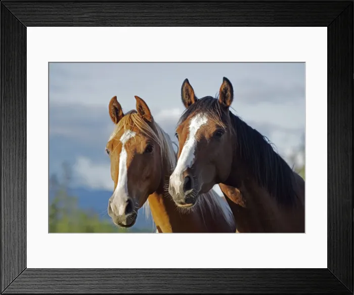 Framed Print : Picture No. 10872526 Framed Print : Picture No. 10872526