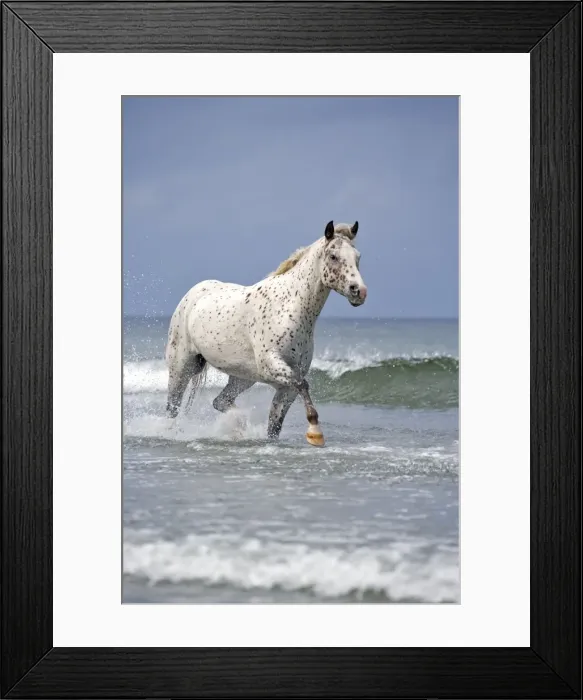 Framed Print : Picture No. 10872534 Framed Print : Picture No. 10872534