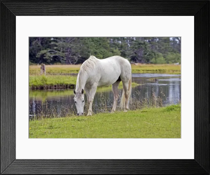 Framed Print : Picture No. 10872545 Framed Print : Picture No. 10872545