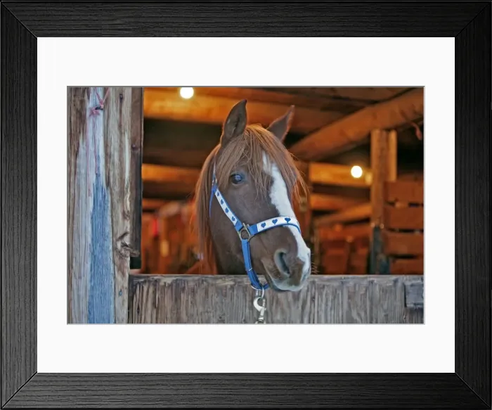 Framed Print : Picture No. 10872548 Framed Print : Picture No. 10872548