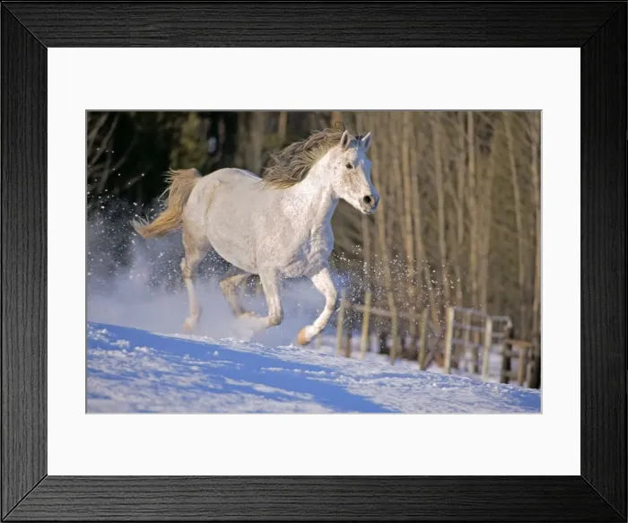 Framed Print : Picture No. 10872547 Framed Print : Picture No. 10872547
