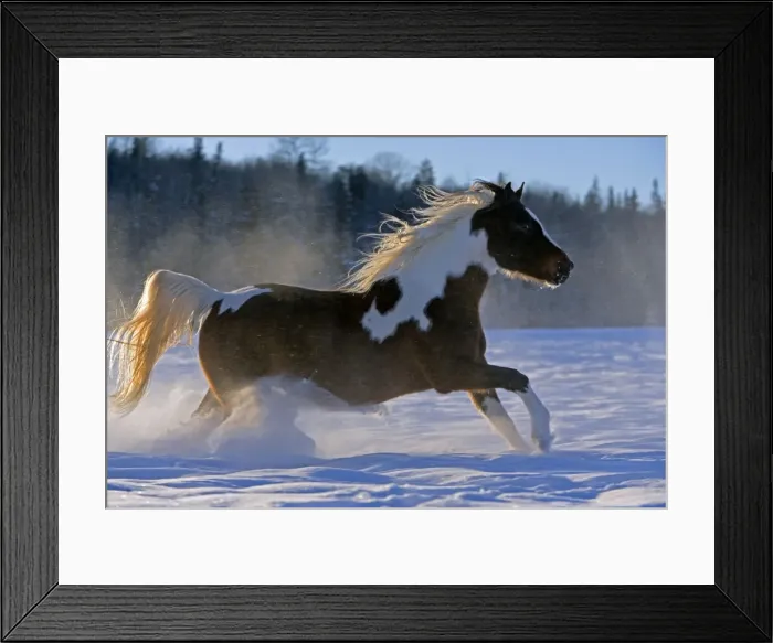 Framed Print : Picture No. 10872552 Framed Print : Picture No. 10872552