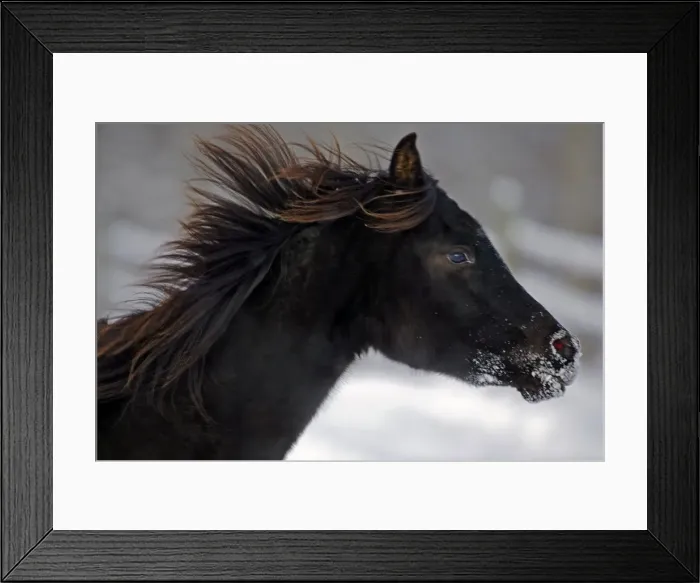 Framed Print : Picture No. 10872554 Framed Print : Picture No. 10872554