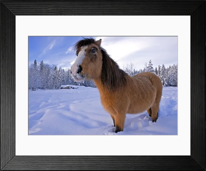 Framed Print : Picture No. 10872559 Framed Print : Picture No. 10872559