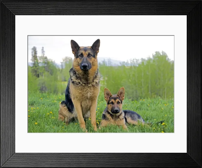 Framed Print : Picture No. 10872565 Framed Print : Picture No. 10872565