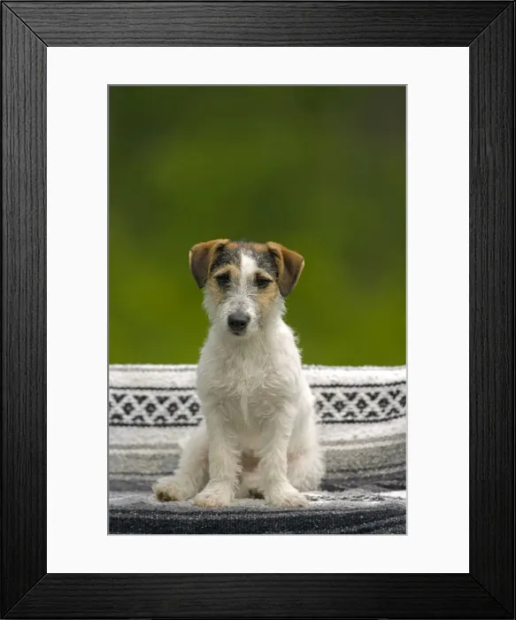 Framed Print : Picture No. 10872566 Framed Print : Picture No. 10872566