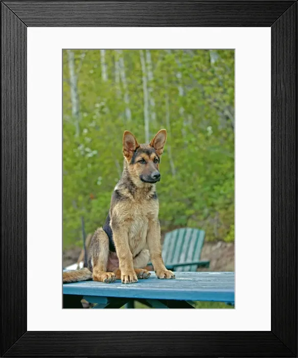 Framed Print : Picture No. 10872572 Framed Print : Picture No. 10872572