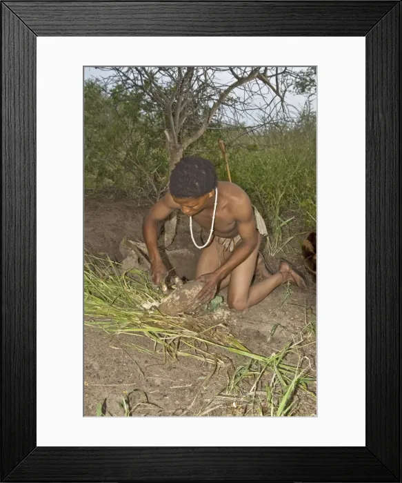 Framed Print : Picture No. 10872633 Framed Print : Picture No. 10872633