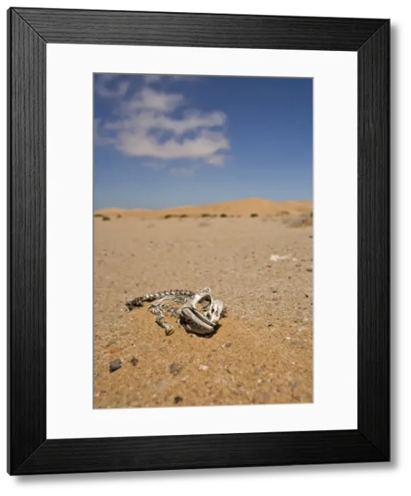 Framed Print : Picture No. 10872677 Framed Print : Picture No. 10872677