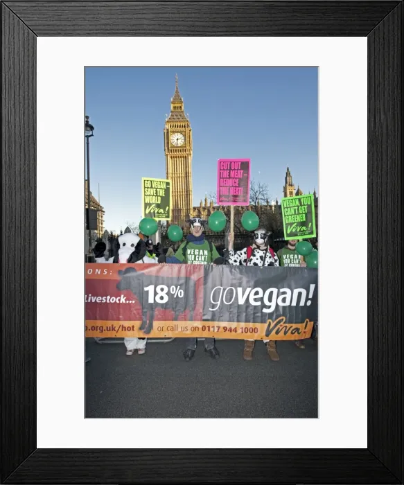 Framed Print : Picture No. 10872745 Framed Print : Picture No. 10872745