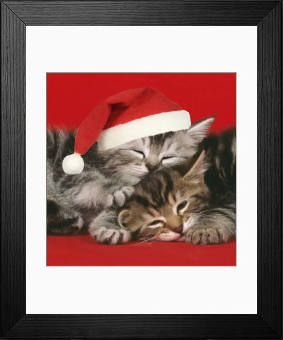 Framed Print : Picture No. 10872969 Framed Print : Picture No. 10872969