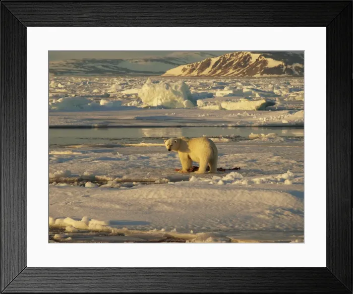 Framed Print : Picture No. 10872925 Framed Print : Picture No. 10872925