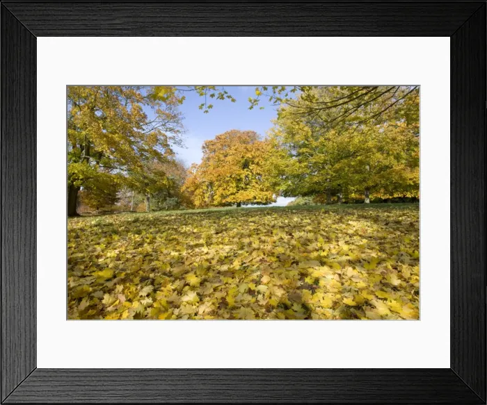 Framed Print : Picture No. 10872807 Framed Print : Picture No. 10872807