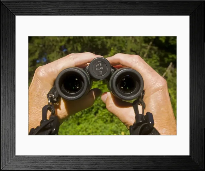 Framed Print : Picture No. 10873256 Framed Print : Picture No. 10873256