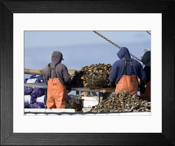 Framed Print : Picture No. 10873259 Framed Print : Picture No. 10873259