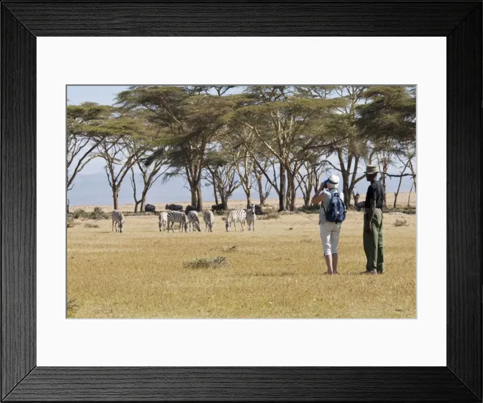 Framed Print : Picture No. 10873363 Framed Print : Picture No. 10873363
