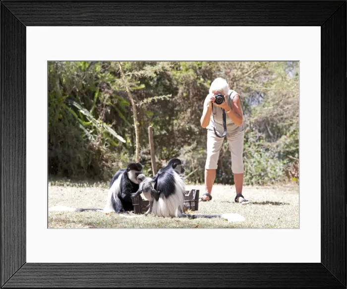 Framed Print : Picture No. 10873390 Framed Print : Picture No. 10873390