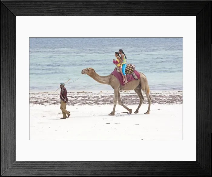 Framed Print : Picture No. 10873391 Framed Print : Picture No. 10873391