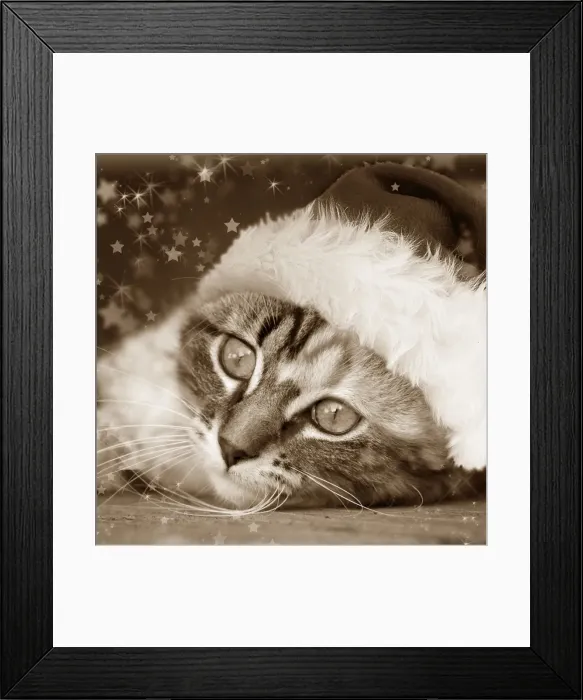 Framed Print : Picture No. 10874649 Framed Print : Picture No. 10874649