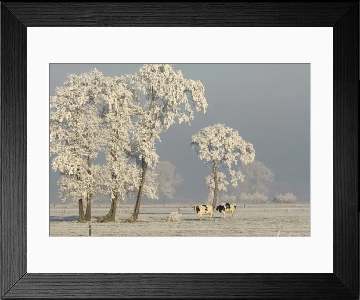 Framed Print : Picture No. 10874645 Framed Print : Picture No. 10874645