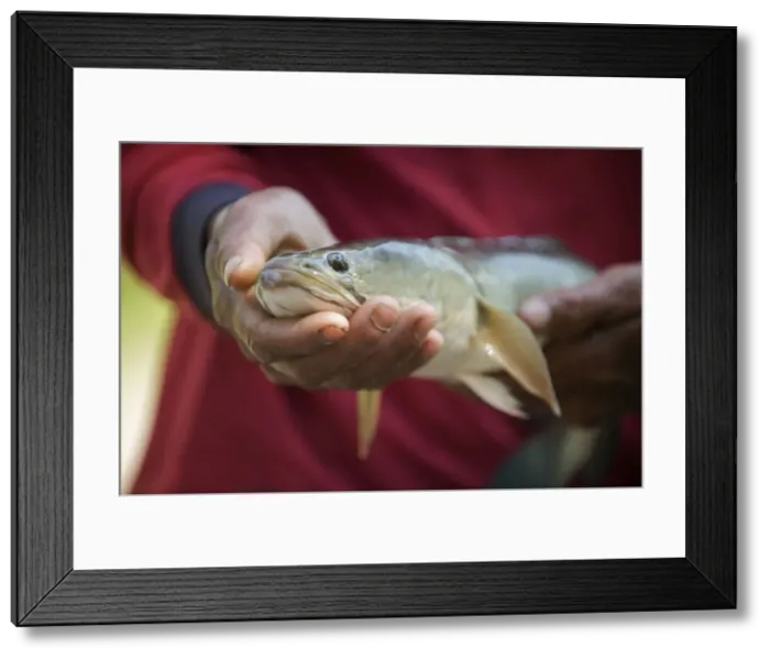 Framed Print : Picture No. 10874664 Framed Print : Picture No. 10874664