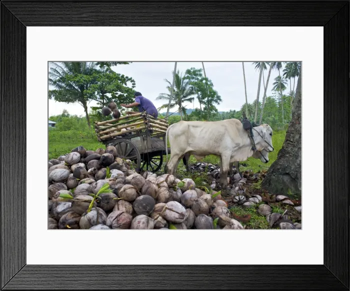 Framed Print : Picture No. 10874693 Framed Print : Picture No. 10874693