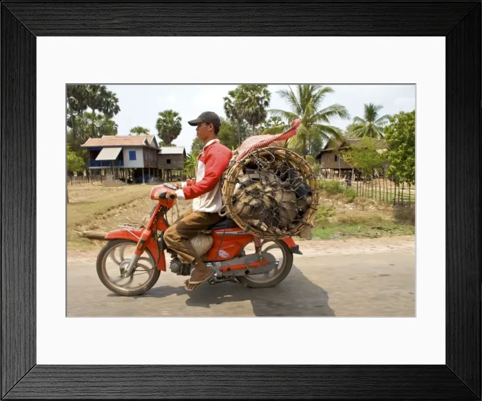 Framed Print : Picture No. 10874718 Framed Print : Picture No. 10874718