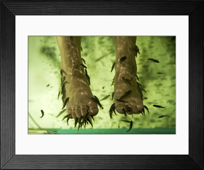 Framed Print : Picture No. 10874722 Framed Print : Picture No. 10874722
