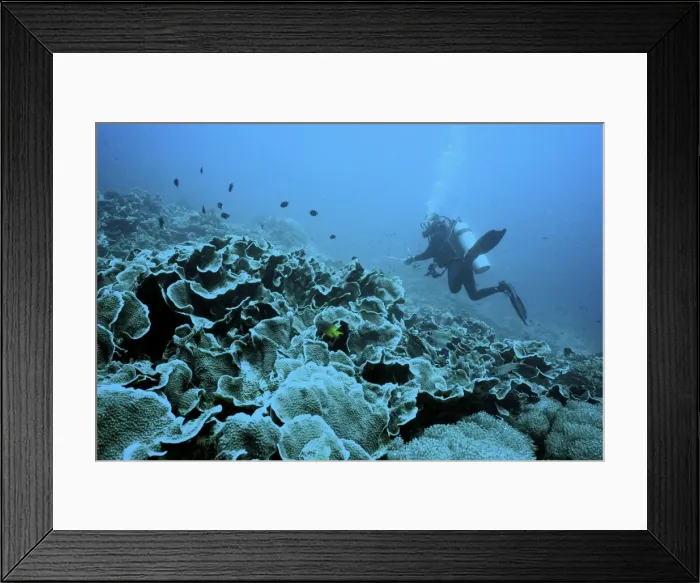 Framed Print : Picture No. 10874717 Framed Print : Picture No. 10874717
