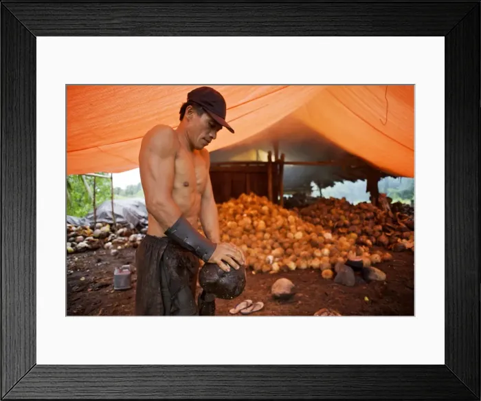 Framed Print : Picture No. 10874725