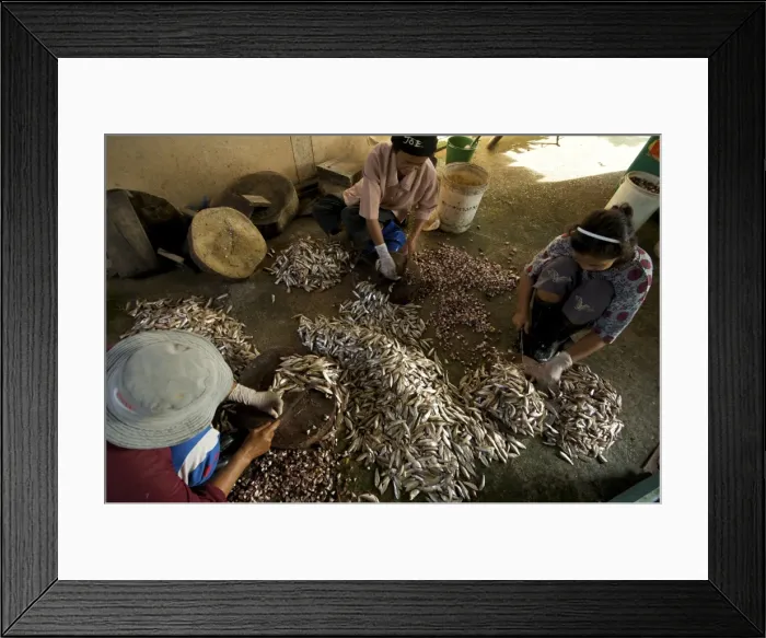 Framed Print : Picture No. 10874742 Framed Print : Picture No. 10874742
