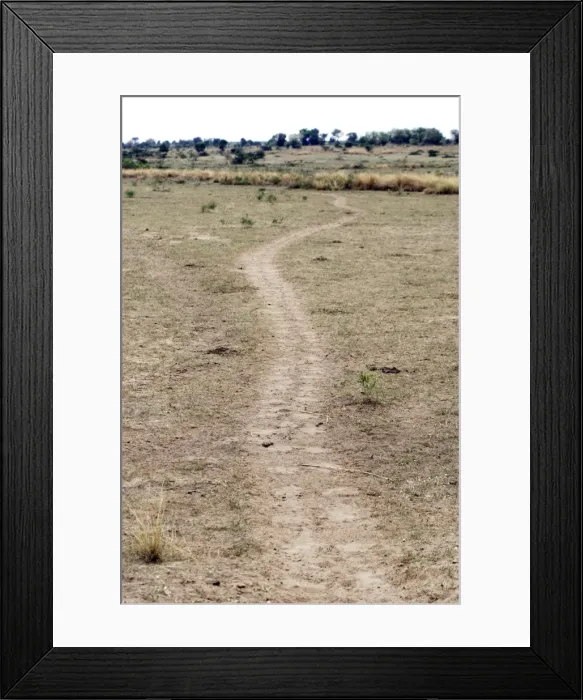 Framed Print : Picture No. 10874829 Framed Print : Picture No. 10874829