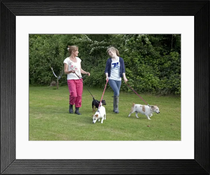 Framed Print : Picture No. 10874876