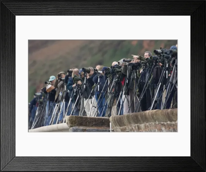 Framed Print : Picture No. 10875061 Framed Print : Picture No. 10875061