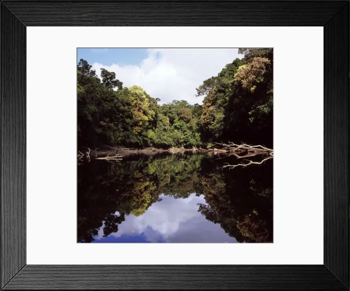 Framed Print : Picture No. 10875137 Framed Print : Picture No. 10875137