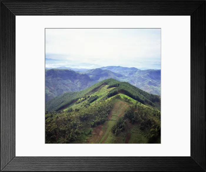Framed Print : Picture No. 10875304 Framed Print : Picture No. 10875304